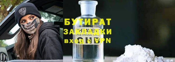 стаф Каменка