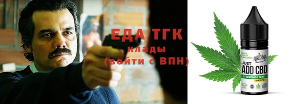 стаф Каменка