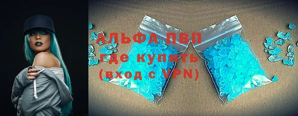 стаф Каменка