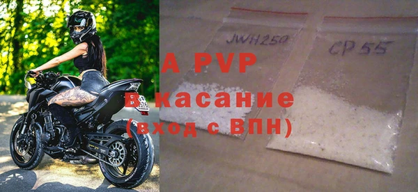 стаф Каменка