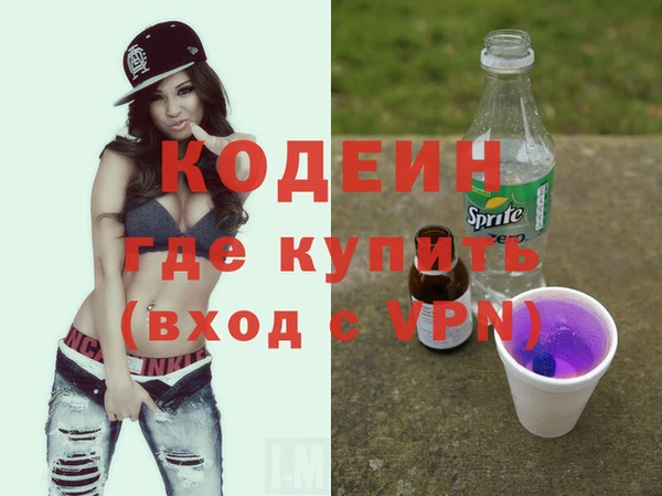 стаф Каменка