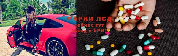 стаф Каменка