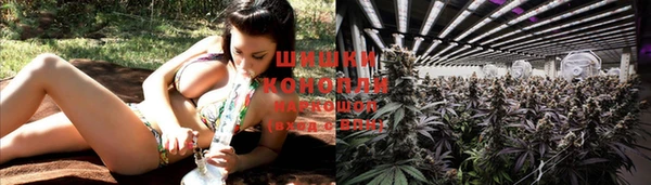 стаф Каменка