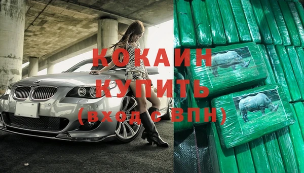 стаф Каменка