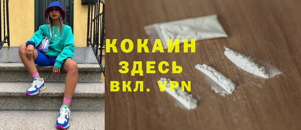 стаф Каменка